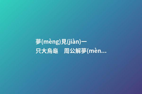 夢(mèng)見(jiàn)一只大烏龜　周公解夢(mèng)之夢(mèng)到一只大烏龜